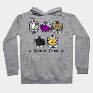 Tiger Astronaut Joins Space Crew 2420 Hoodie